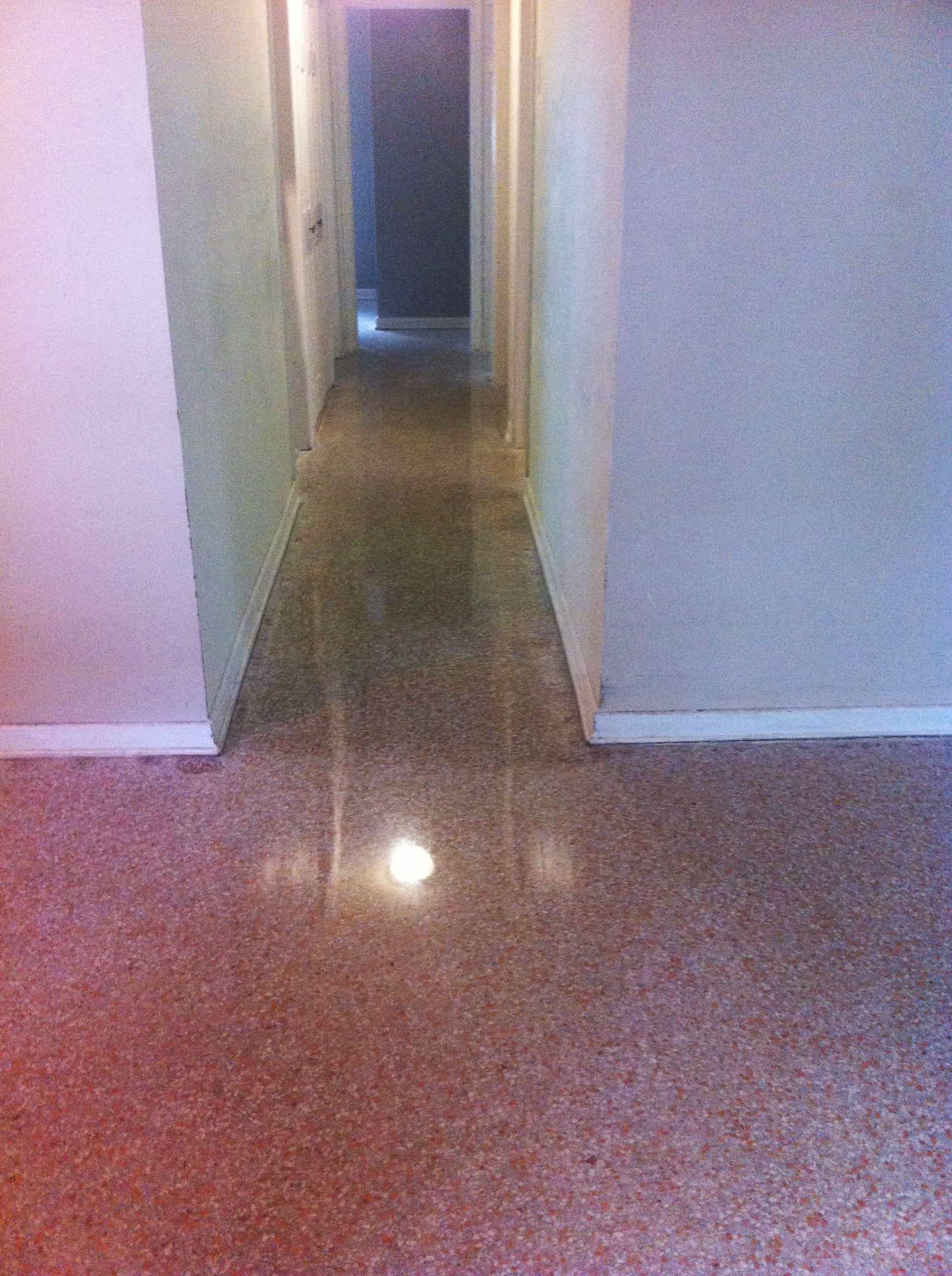 Terrazzo Restoration Gainesville done with all dry restoration