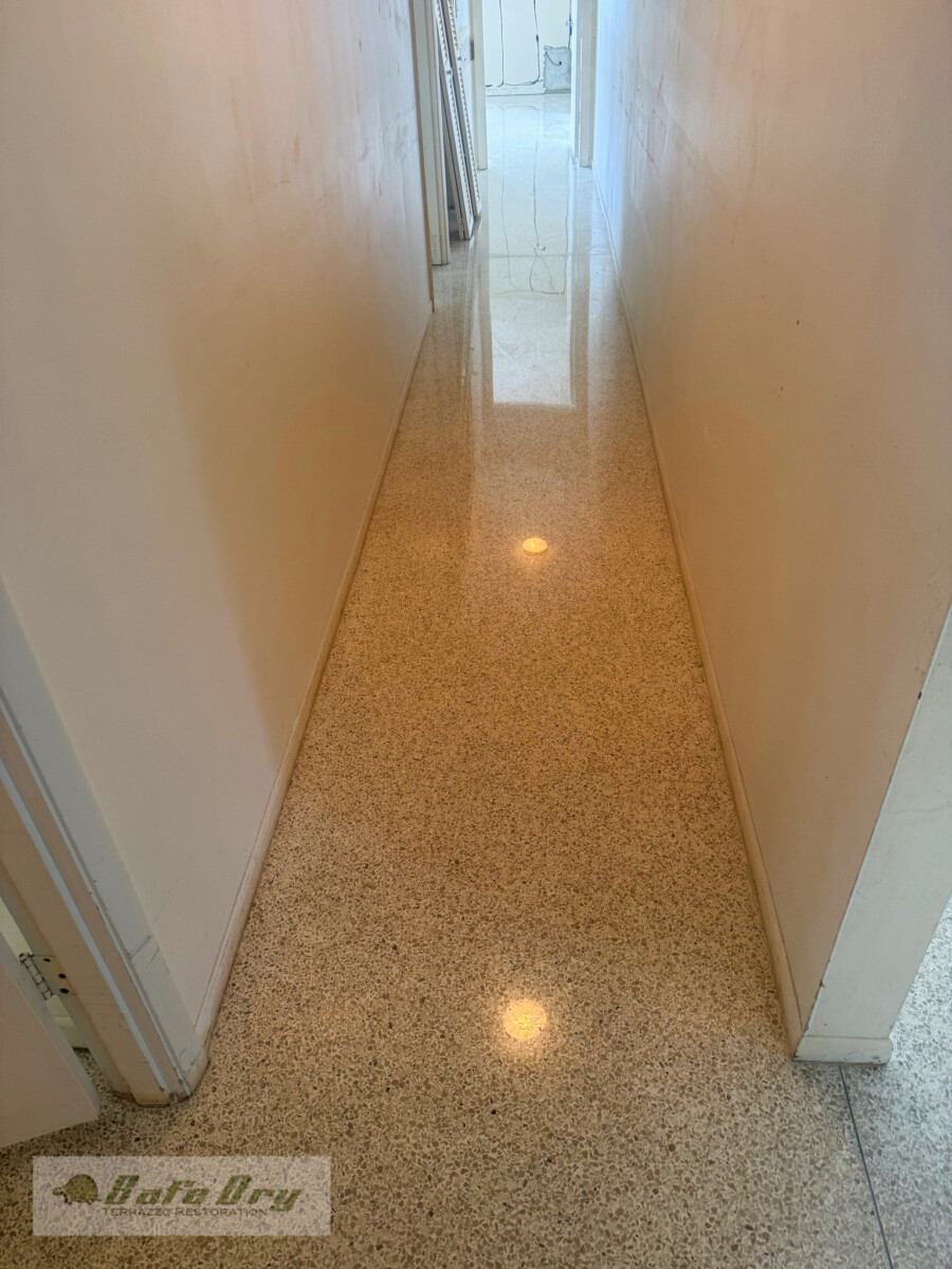 SafeDry Terrazzo Restoration