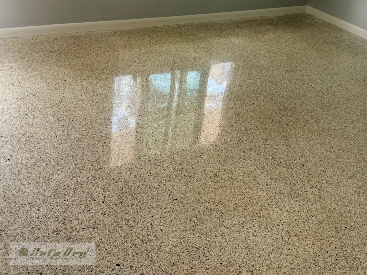 SafeDry Terrazzo Restoration