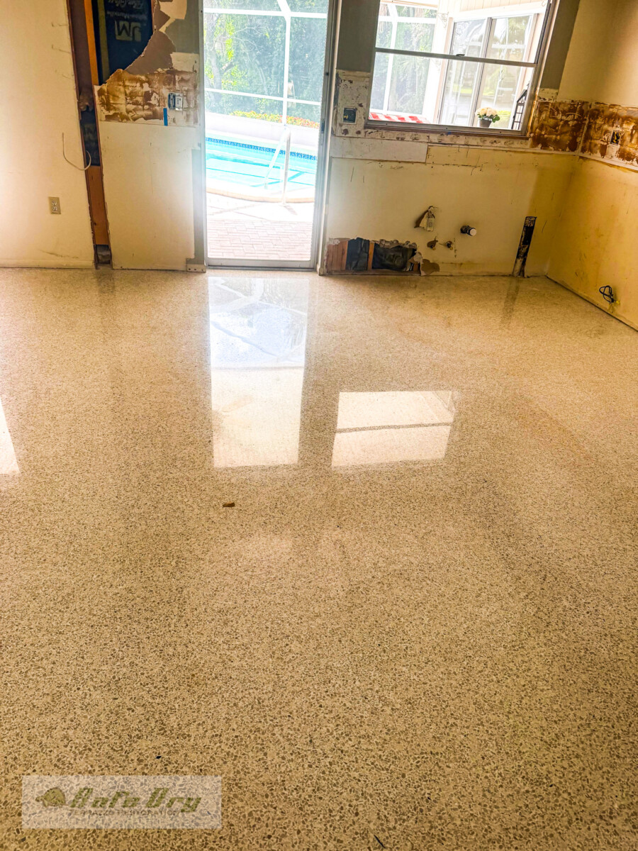 SafeDry Terrazzo Restoration