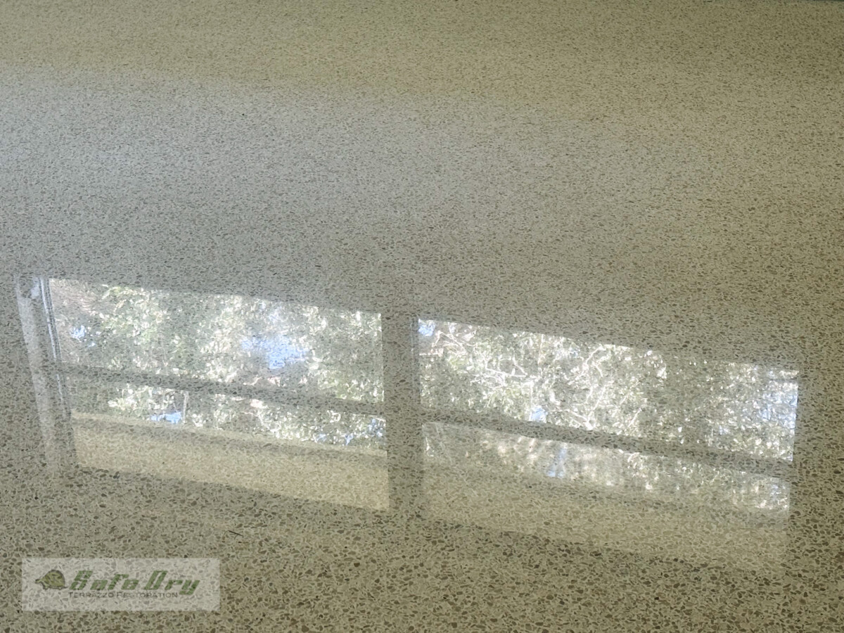 SafeDry Terrazzo Restoration