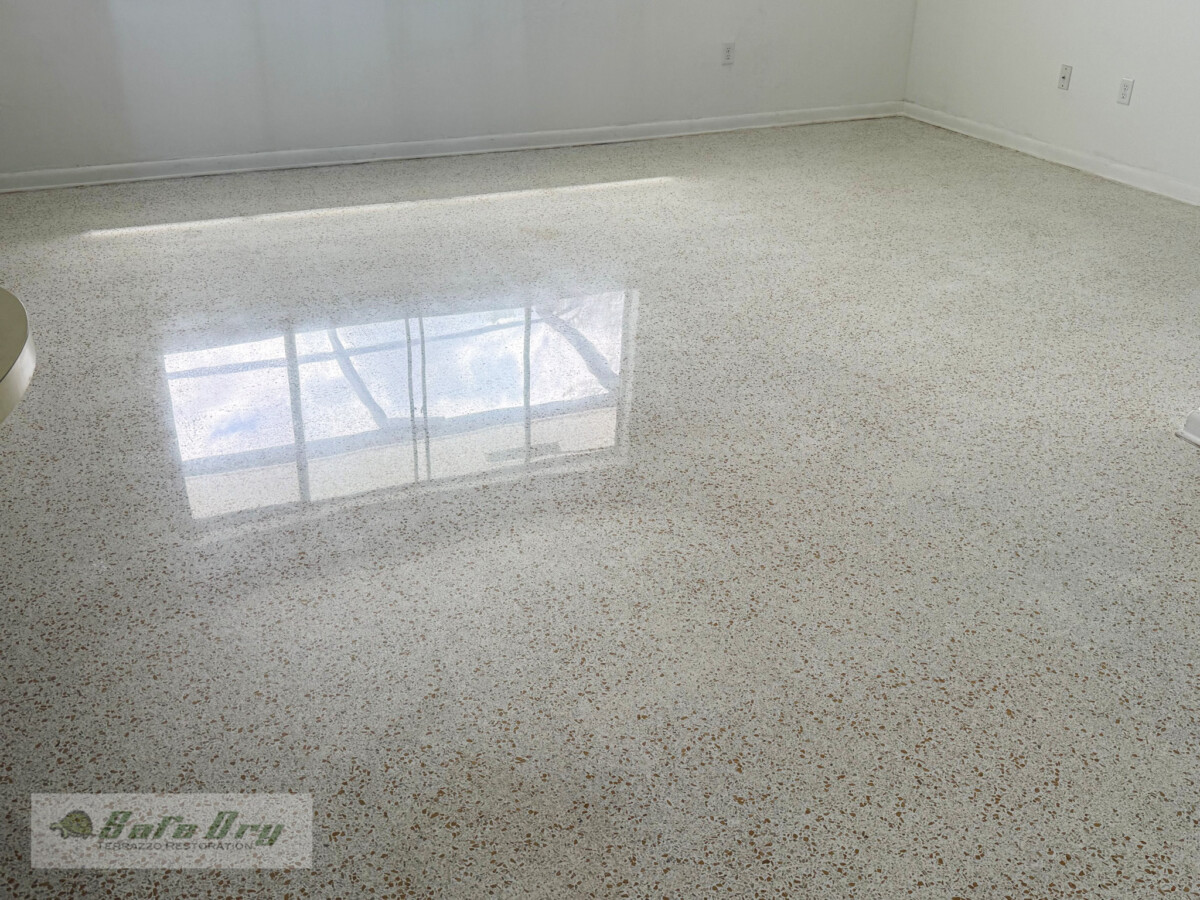 SafeDry Terrazzo Restoration