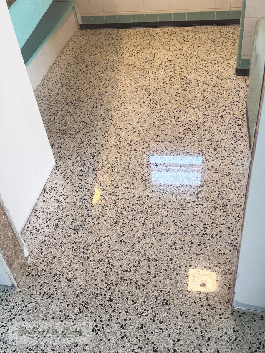 Port Charlotte Terrazzo