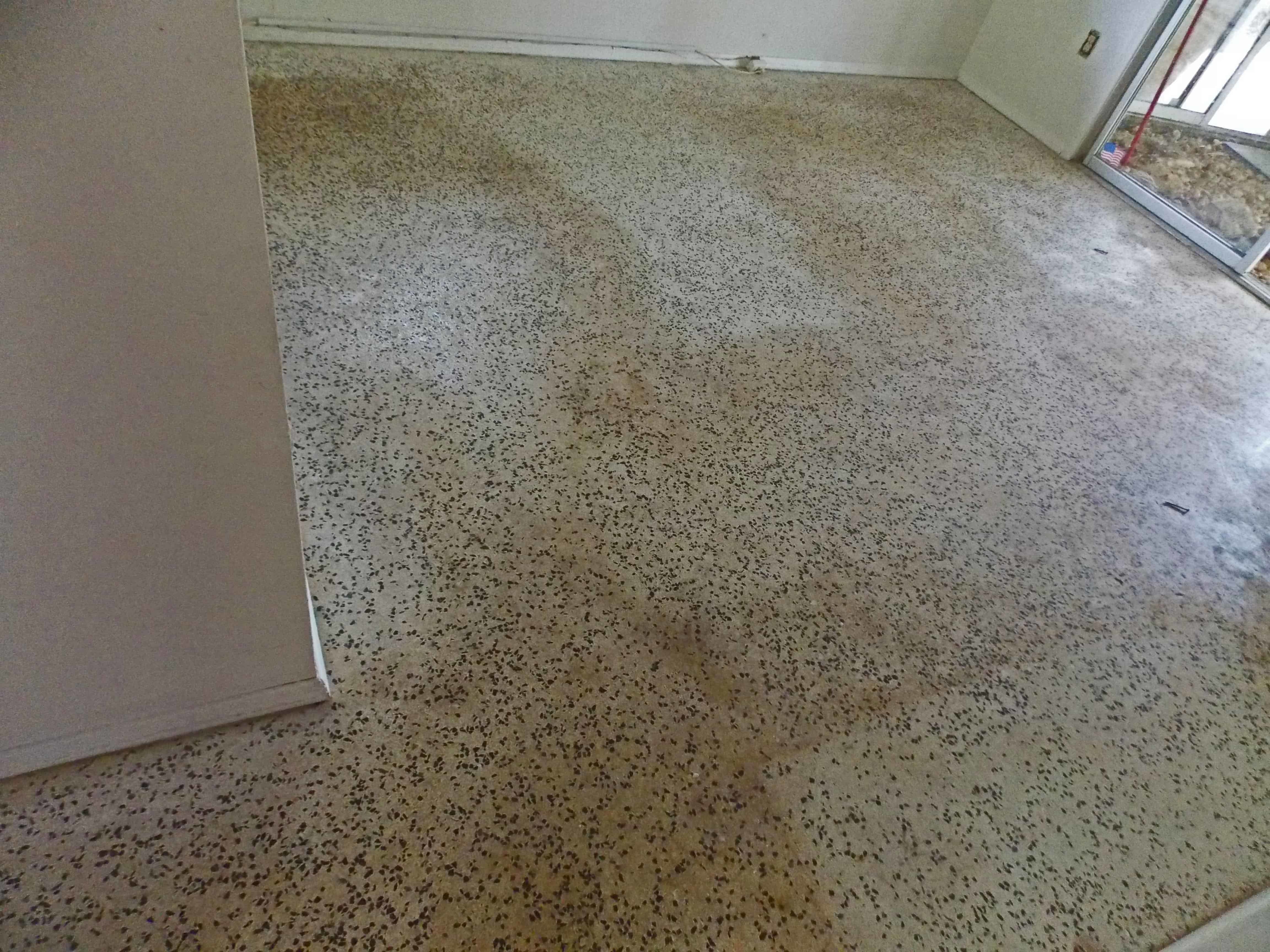 Terrazzo Restoration Before And After Blog