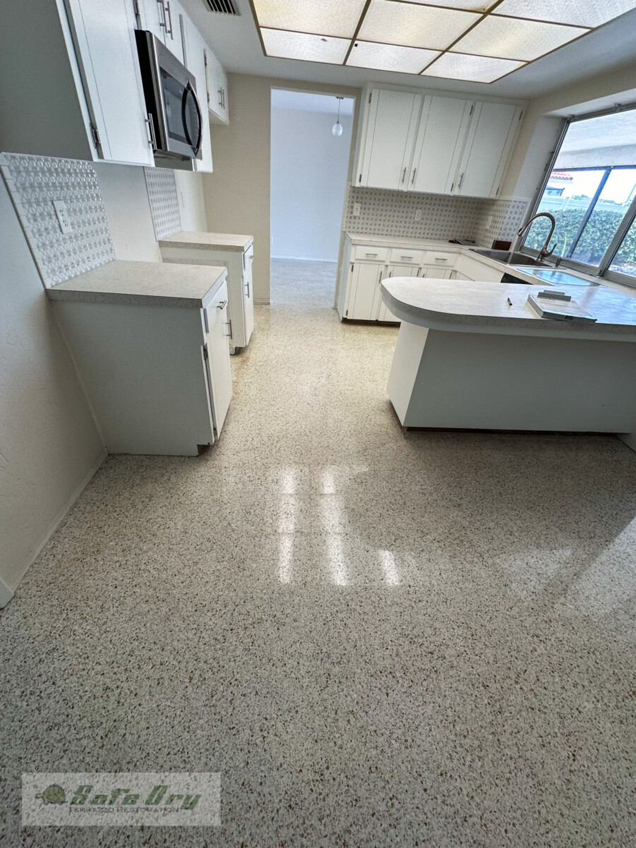 Terrazzo Restoration