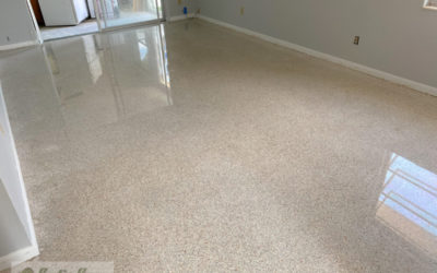 Terrazzo Floor Pet Stain Removal