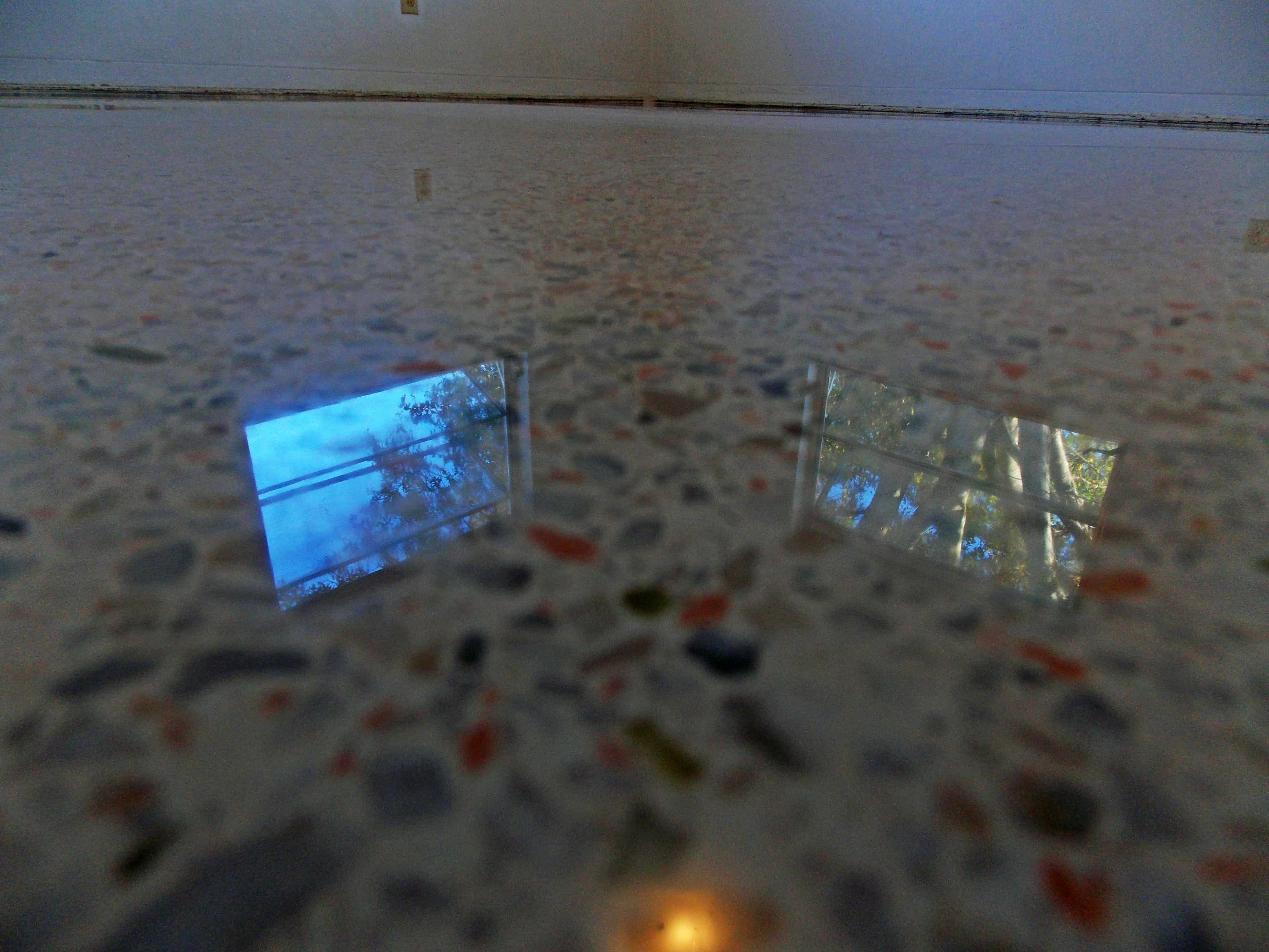 Diamond Polished Terrazzo Floor dry polished