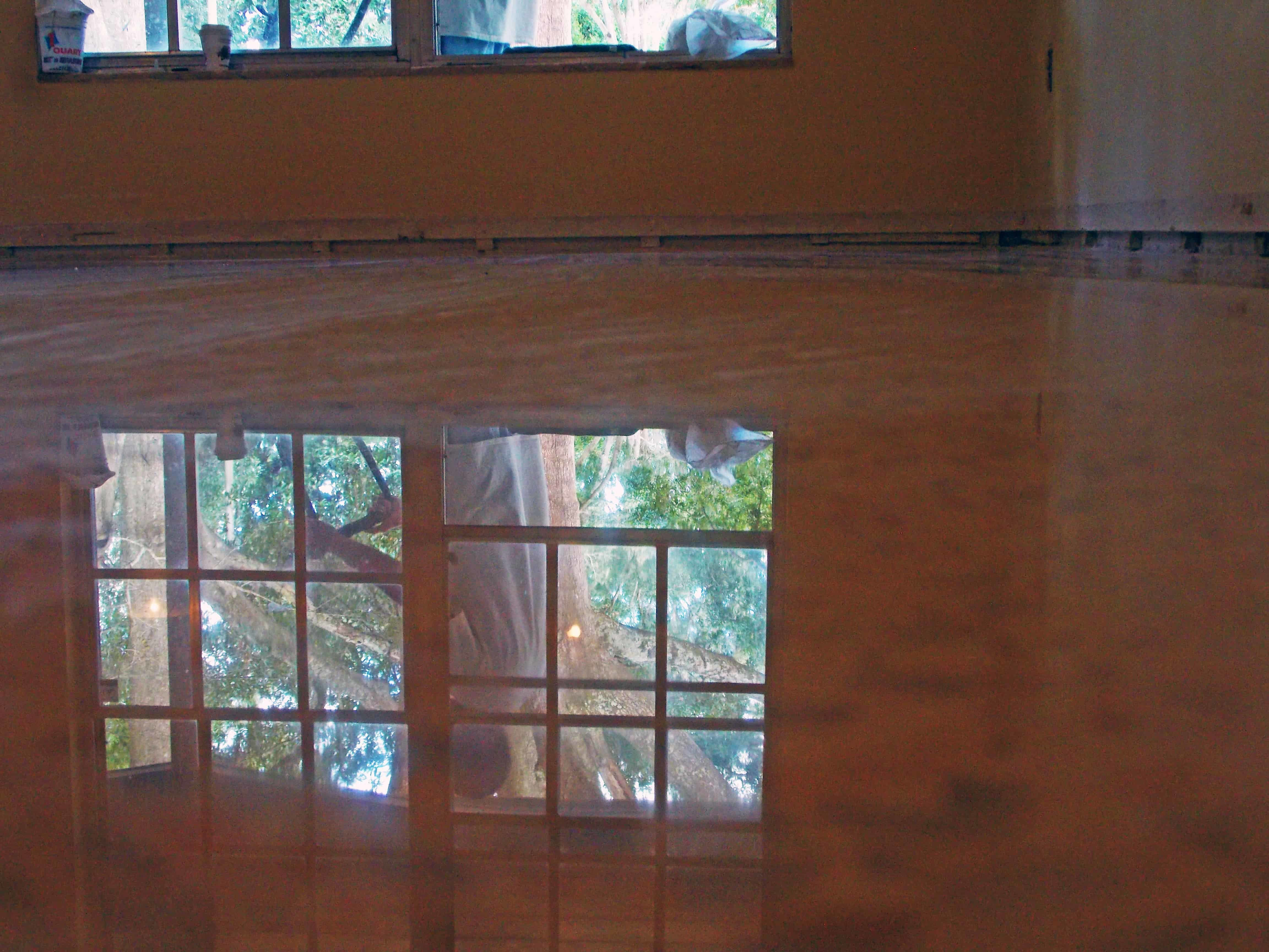 Diamond Polished Terrazzo Floor done in Tampa